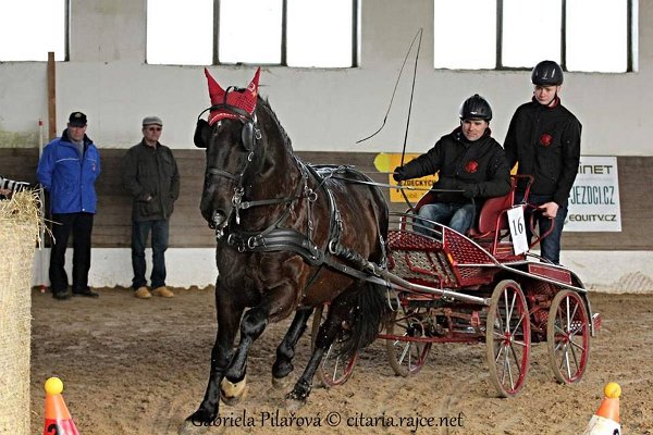 11949256_445858748948680_7024362095463957755_n