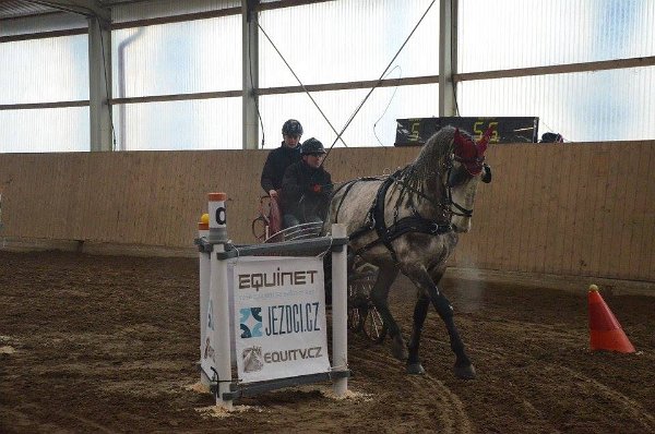 11137147_445889385612283_9051404981027343259_n