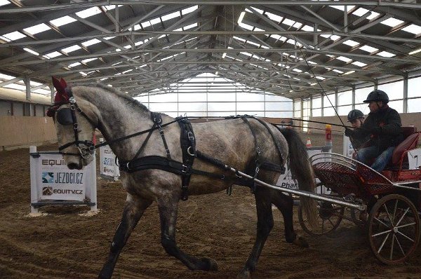 11887932_445889382278950_4493547539393738274_n