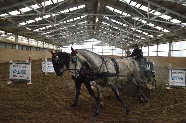 11888126_445889438945611_4334491921259347675_n