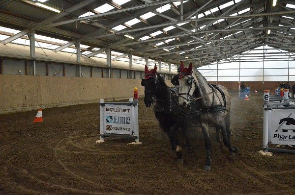 11891059_445889432278945_3132794036319874046_n