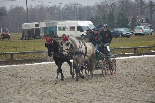 11892107_445889418945613_1044988415526057166_n