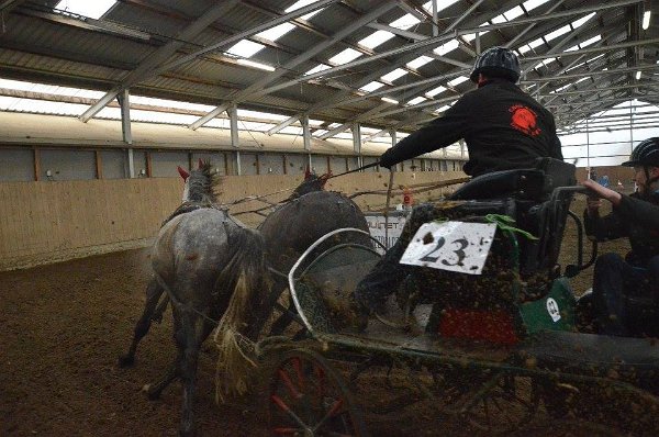 11949330_445889465612275_6182710100425246714_n