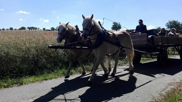 19905166_713598502174702_7398627269886053240_n