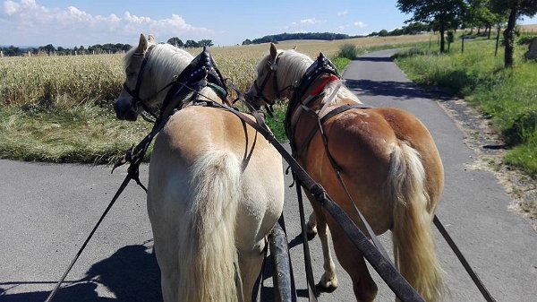 19905234_713598472174705_5918414769186269078_n