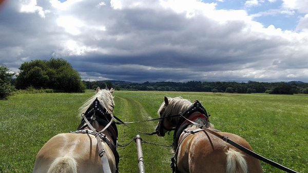 19961608_713830422151510_3421685514881769474_n