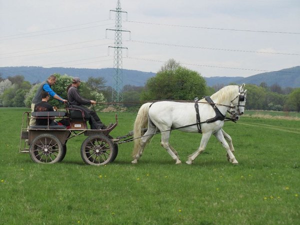 11205599_445892385611983_4689811530500292469_n