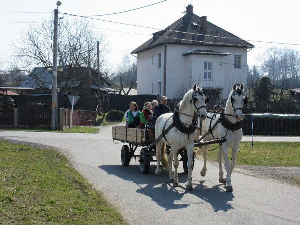 11781681_445892328945322_8314862024423182815_n