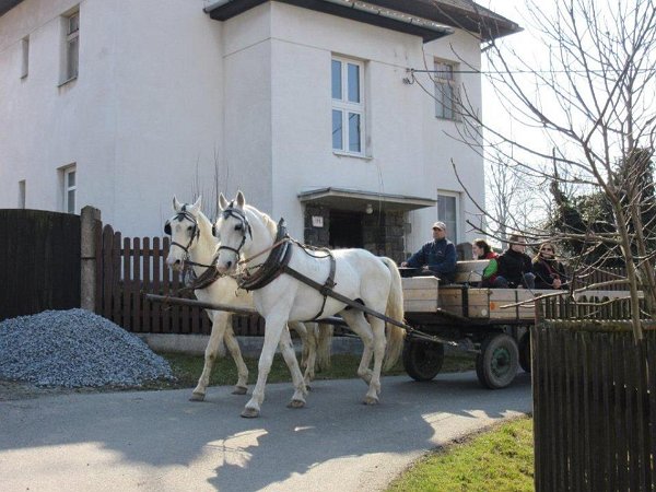 11902432_445892335611988_3513871490752694014_n