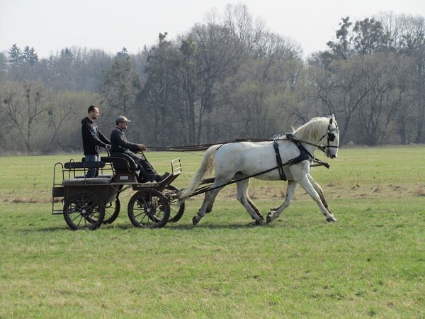 11904717_445892275611994_6369249508066656028_n