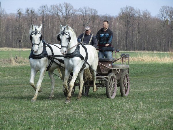 11951177_445892318945323_3216728834824225235_n