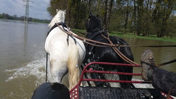 18193837_680195925514960_3359220935556220699_n