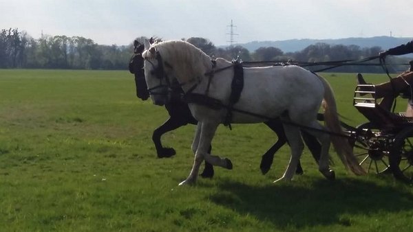 18194569_680196078848278_5693205560433523878_n