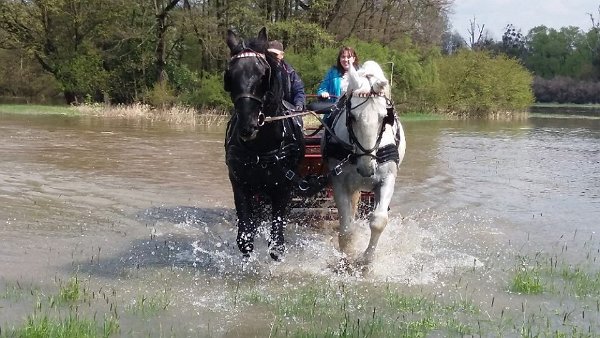 18194838_680195958848290_7900738524405504634_n