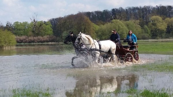 18198605_680195898848296_3871258857555110099_n