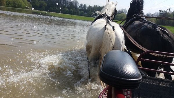 18198756_680195902181629_3690970259252977388_n