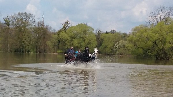 18268610_680195892181630_2412337812984058776_n