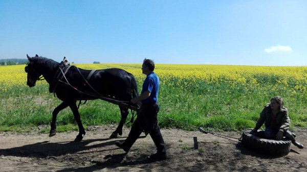 18892991_695878573946695_9108599303855569116_n