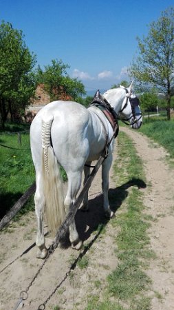 18893089_695878630613356_2820694883381273540_n