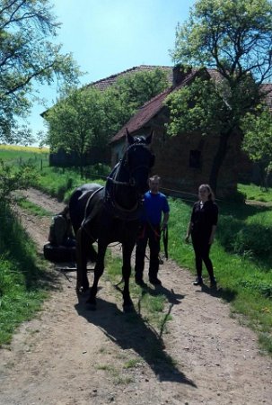 18893315_695878567280029_4133552307198656088_n