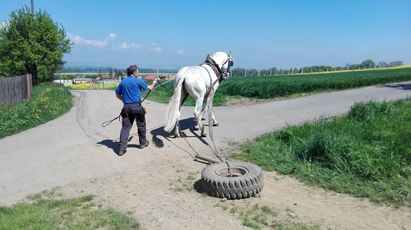 18920190_695878617280024_8618881762682581510_n