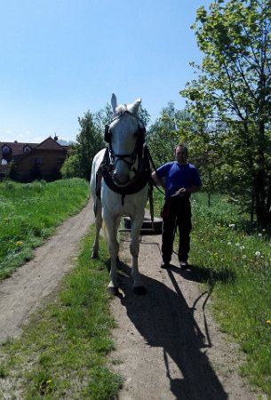 18920226_695878570613362_6369840156851539298_n