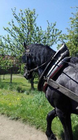 18952607_695878580613361_1794222586200041917_n