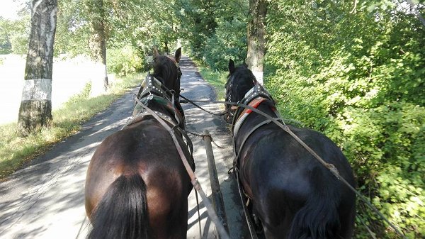 20915650_730791860455366_8485638274894590428_n