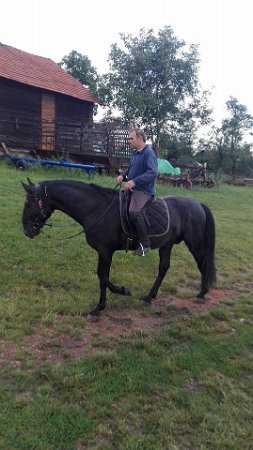 20992801_730792943788591_4937821133264487447_n