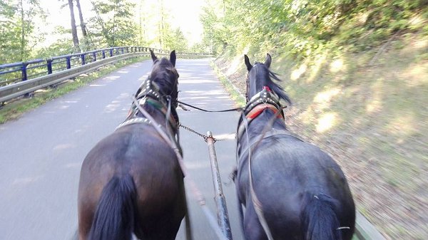 21151391_734795480055004_8544202459296097907_n