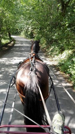 20525800_722962081238344_1364640279701650029_n