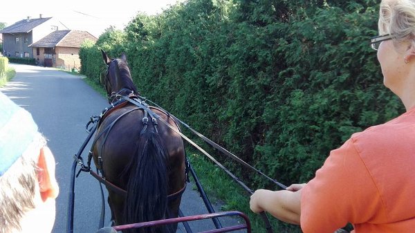 20597346_722962164571669_5890508936571518094_n