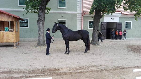 13226760_530058663862021_146280699820368124_n