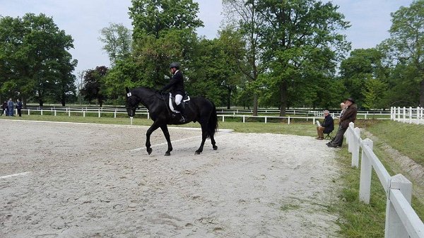 13227043_530061147195106_2483516331215193599_n