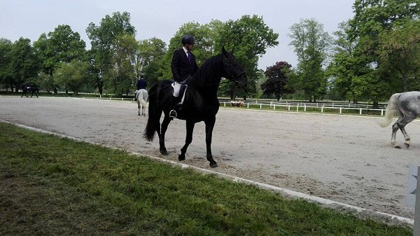 13240532_530061060528448_1694268142277476495_n