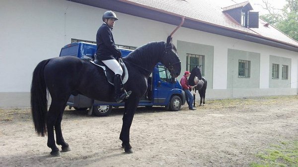 13240651_530060810528473_1897003044156100734_n