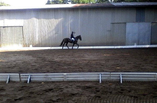 14449962_578610595673494_5204807010373097313_n