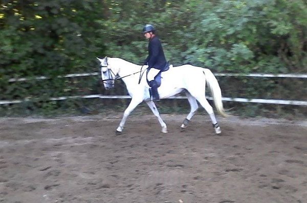 14470398_578610619006825_1684829047008773653_n