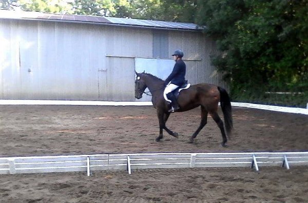 14470667_578610592340161_4372205111640529883_n