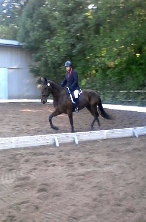 14492508_578610582340162_8818749888434471683_n