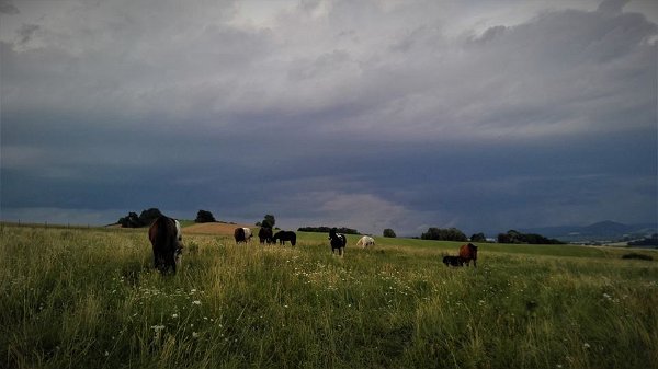 19894664_711317045736181_6293292335437609204_n