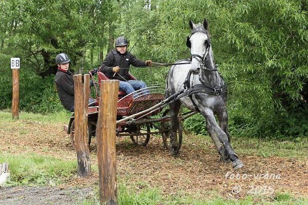 11889404_445897348944820_4020763310853103528_n