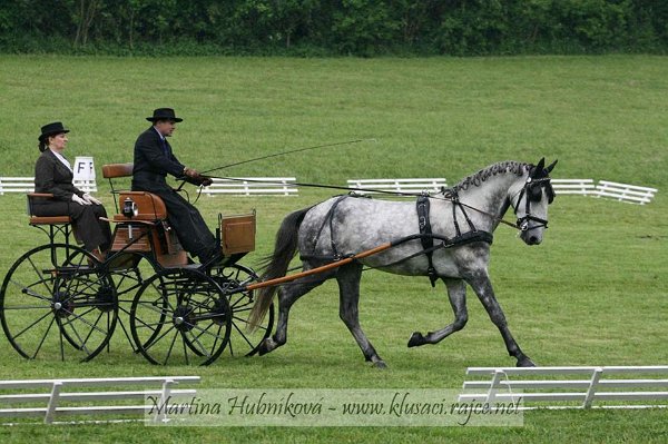 11896202_445897285611493_6623268844046749436_n