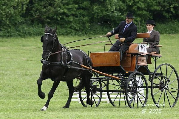 11919540_445897358944819_8919893665674748863_n