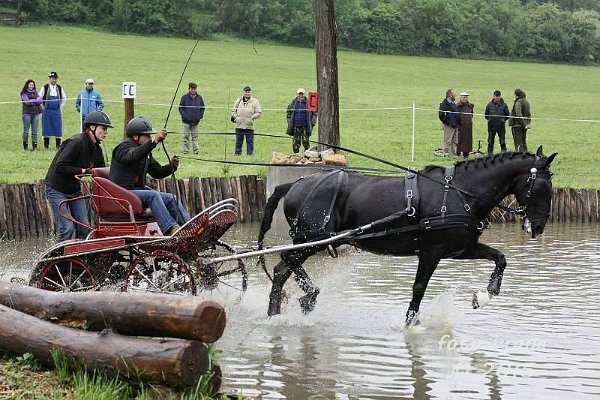 11949454_445897395611482_2720971470169708541_n