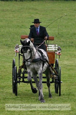 11951975_445897288944826_8984177991483006007_n