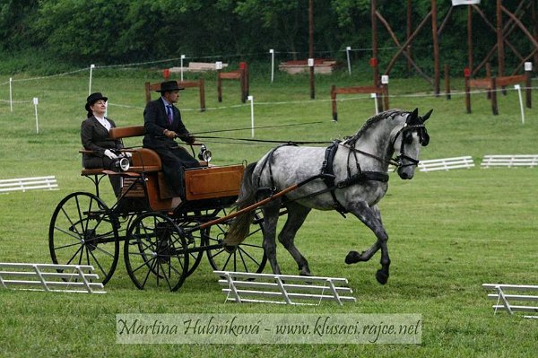 11960215_445897292278159_8810797909989737189_n