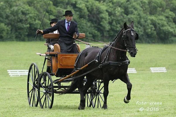 11960281_445897398944815_5675834856742291696_n