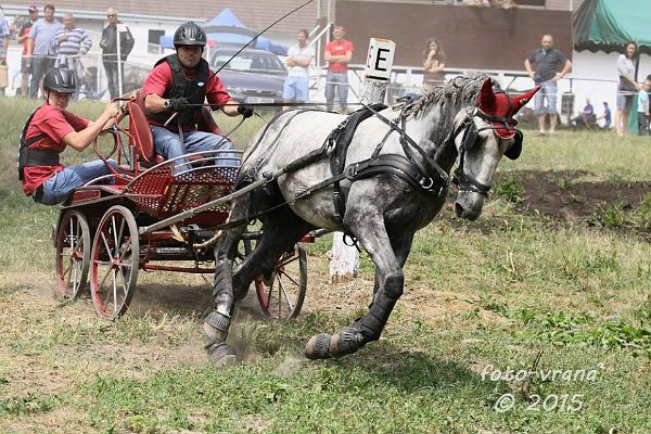 11892030_445895862278302_5487873574045325723_n