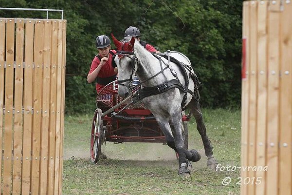 11899921_445895748944980_6585945729380402890_n